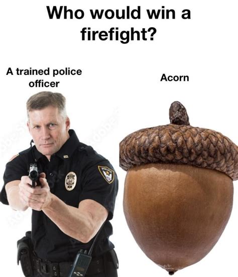 what are the acorn memes about|police vs acorn.